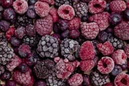 sydney food photographer test shoot berries